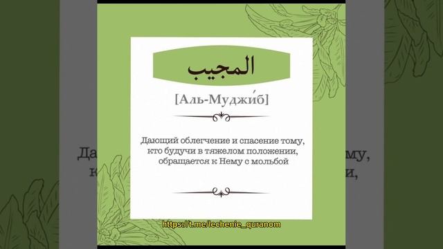 От порчи, колдовства, сихра, магии, сглаза читайте Имена Аллаhа смотреть онлайн