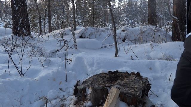 КРАШ-ТЕСТ НОЖА MORAKNIV 511 LIMITED EDITION 2019]СУРОВЫЙ КРАШ-ТЕСТ ДЛЯ НОЖА\ОБЗОР НОЖА MORAKNIV/MOR смотреть онлайн