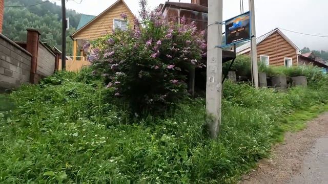 Байкал. Листвянка. Большие коты. Большая байкальская тропа. смотреть онлайн