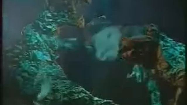 Король и Шут Блуждают тени1996 смотреть онлайн
