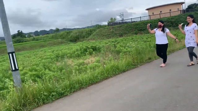 Lotus farm in japan смотреть онлайн