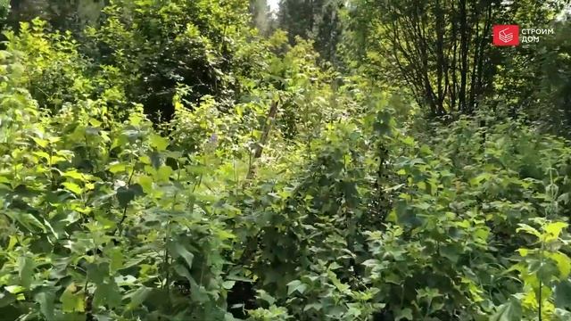 Лемью, Лазурное и Пенаты - обзор для строительства дома смотреть онлайн