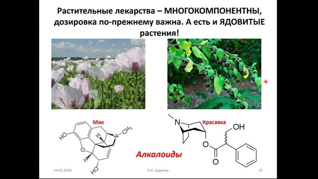 А.К. Ердяков - Мифы о лекарствах смотреть онлайн