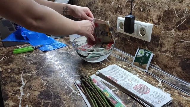 Черенкование роз (самое быстрое и простое). Часть 1 смотреть онлайн