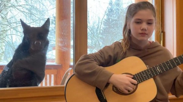 Sting shape of my heart guitar /shape of my heart finger-style / dog feels the same