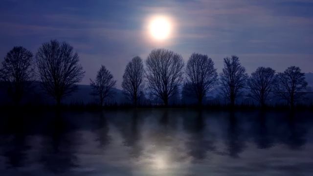 12 августа - Судьбоносный день. Не провоцируйте конфликты | Лунный Календарь смотреть онлайн