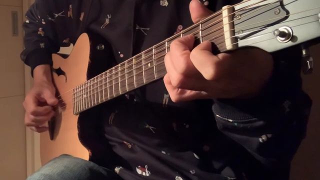Pay money To my Pain / Home / acoustic guitar cover / AmayaDori / SCHECTER OL-FL SNTL смотреть онлайн