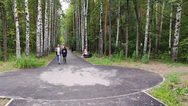 "Чёрный" вход в Парк Маяковского с пер. Базовый, задворки парка, Екатеринбург смотреть онлайн