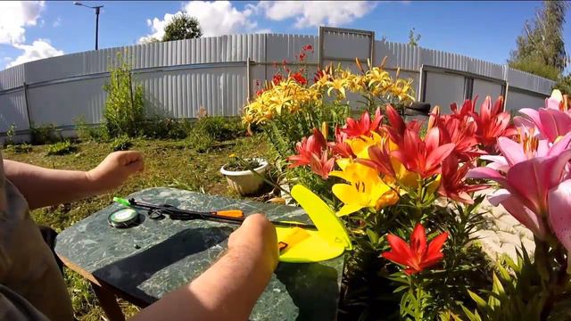 Жерлица Akara летом смотреть онлайн