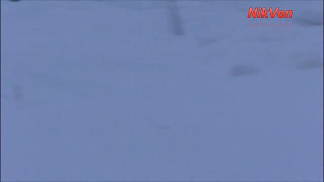 Хищная птица с добычей смотреть онлайн