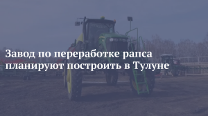 Завод по переработке рапса планируют построить в Тулуне