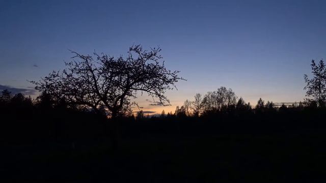 ЗАКАТ.таймлапс.14 мая 2020.звук природы.Видео Дубровский !!! смотреть онлайн