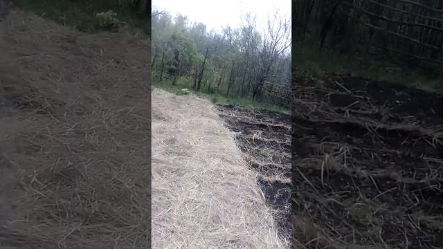 весна, сад , огород. ремонт. смотреть онлайн