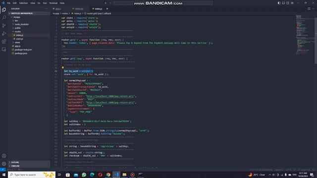 PhonePe API Integration Using Node.js | Mastering PhonePe Integration with Node.js | Node JS смотреть онлайн