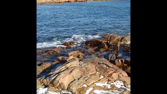 На берегу Баренцева моря! Гремиха! 10.04.2020г. Видео: kot32rus смотреть онлайн