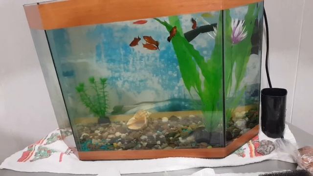 Как избавиться от цветения воды. смотреть онлайн