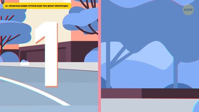 55+ необычных вещей, которые ваше тело делает ежесекундно смотреть онлайн