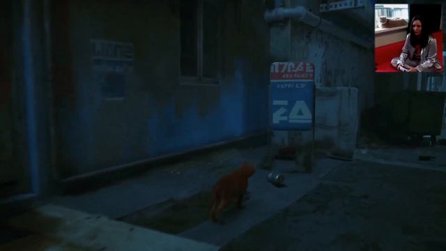 Проходим с котом игру про кота STRAY | часть 1 смотреть онлайн