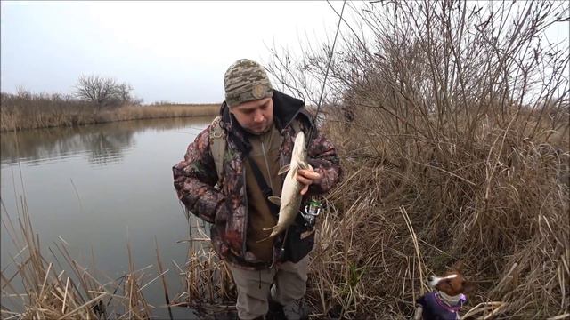 ЗИМНИЙ СПИННИНГ на р. ОРЕЛЬ или открытие спиннингового сезона 2018. смотреть онлайн
