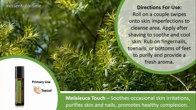 Top 3 Benefits Of doTERRA Melaleuca Touch смотреть онлайн
