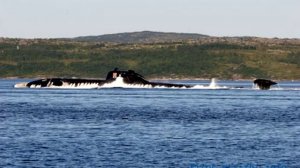 Поздравление с Днём подводника!