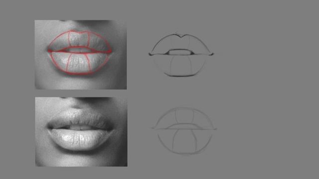 How To Draw Lips | Ibis Paint X Tutorials [ Beginner ]