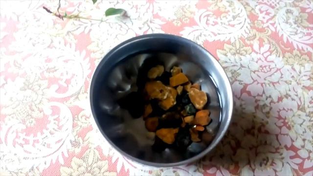 Anthurium Hydroponic