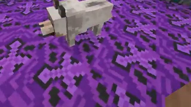 КАК ПРИРУЧИТ ВОЛКА В МАЙНКРАФТ? смотреть онлайн