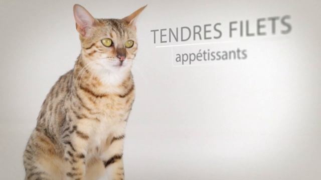 Purina ProPlan NutriSavour - FR смотреть онлайн