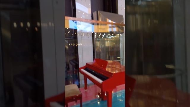 Всех с праздником!! День защитника отечества!! Красный рояль под лифтами. ТЦ Галерея на лиговском. смотреть онлайн