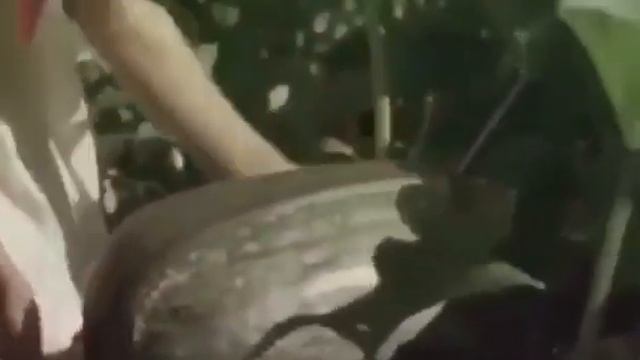 Пионеры и конопля смотреть онлайн