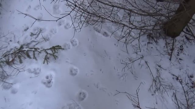 Проверка путика на вездеходе. смотреть онлайн