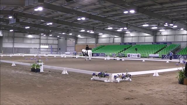 National Para Equestrian Championships 2017: Freestyle Test смотреть онлайн