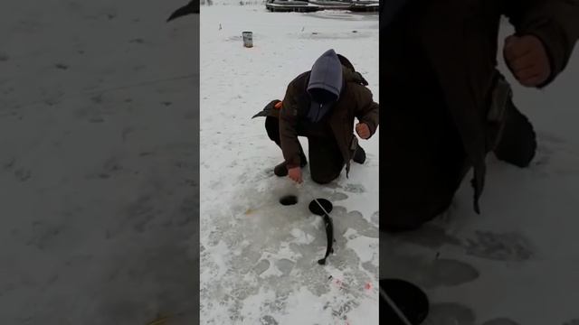 Поимки смотреть онлайн