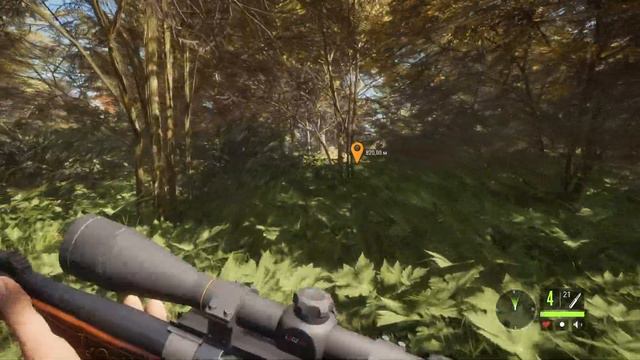 TheHunter: Call Of The Wild™ HD #35 Хиршфельден (без комментариев) 1440p60