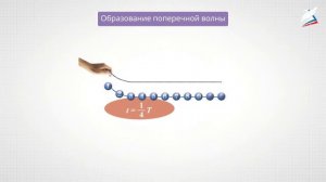 Волновые явления. Длина волны. Скорость распространения волн.