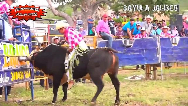 RANCHO EL BRINCO Y RANCHO SAN ISIDRO EN SAYULA JALISCO. PURAS MONTAS смотреть онлайн