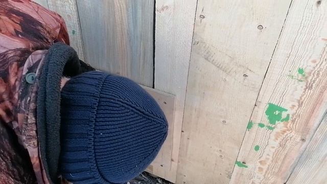 Утепленная конура для собаки с электроподогревом.