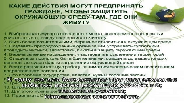 Мозаика на баклажанах: фото, симптомы, лечение и другие заболевания пасленовых смотреть онлайн