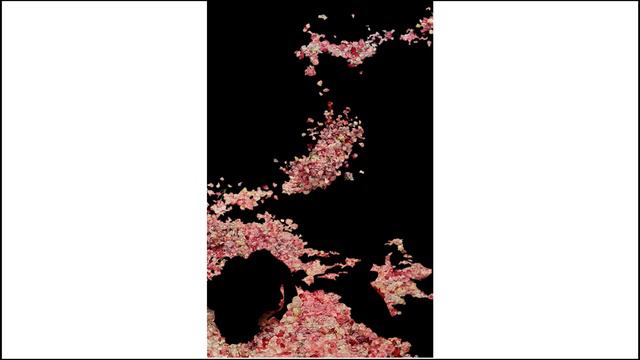 Petrine Cross - Centuries Of August смотреть онлайн