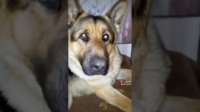 Ждун Рэм смотреть онлайн