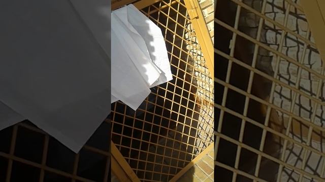 Тараз Карахан Баба смотреть онлайн