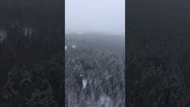 Красногорск, Космонавтов бульвар 7 смотреть онлайн