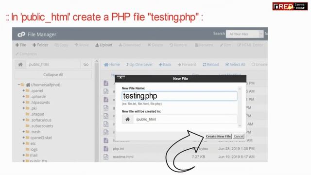 How to remotely upload a file in cPanel via link or URL [Easy method] ☑️ смотреть онлайн