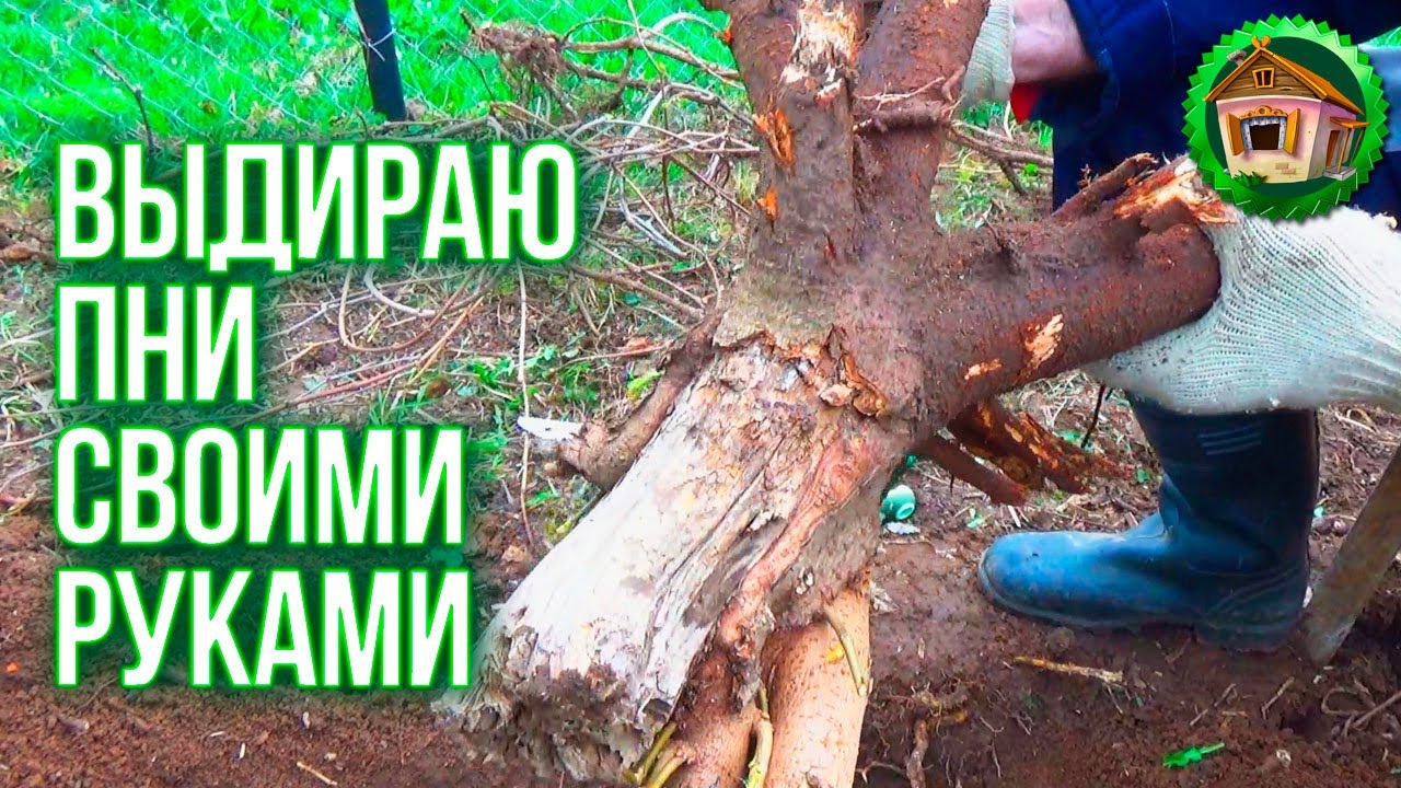 Корчевание пней. Посадка цветов. Ремонт Стартера Бензопилы. 74 серия смотреть онлайн