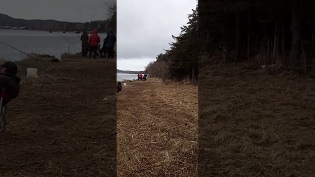 Рыбалка смотреть онлайн