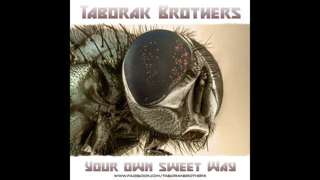 Taborak Brothers - Your own sweet Way (cover) смотреть онлайн