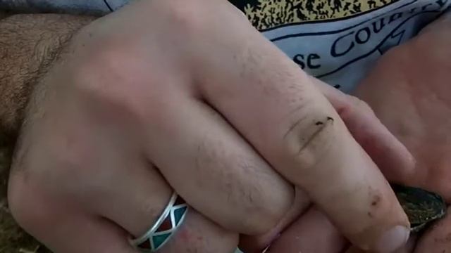 md v3i 4 cache found смотреть онлайн