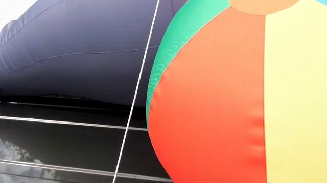Рекламная фигура цирковой Тюлень - Морской котик на крыше автомобиля смотреть онлайн