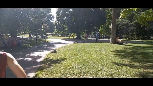 Прогулка по Вене // Парки и архитектура // Австрия смотреть онлайн